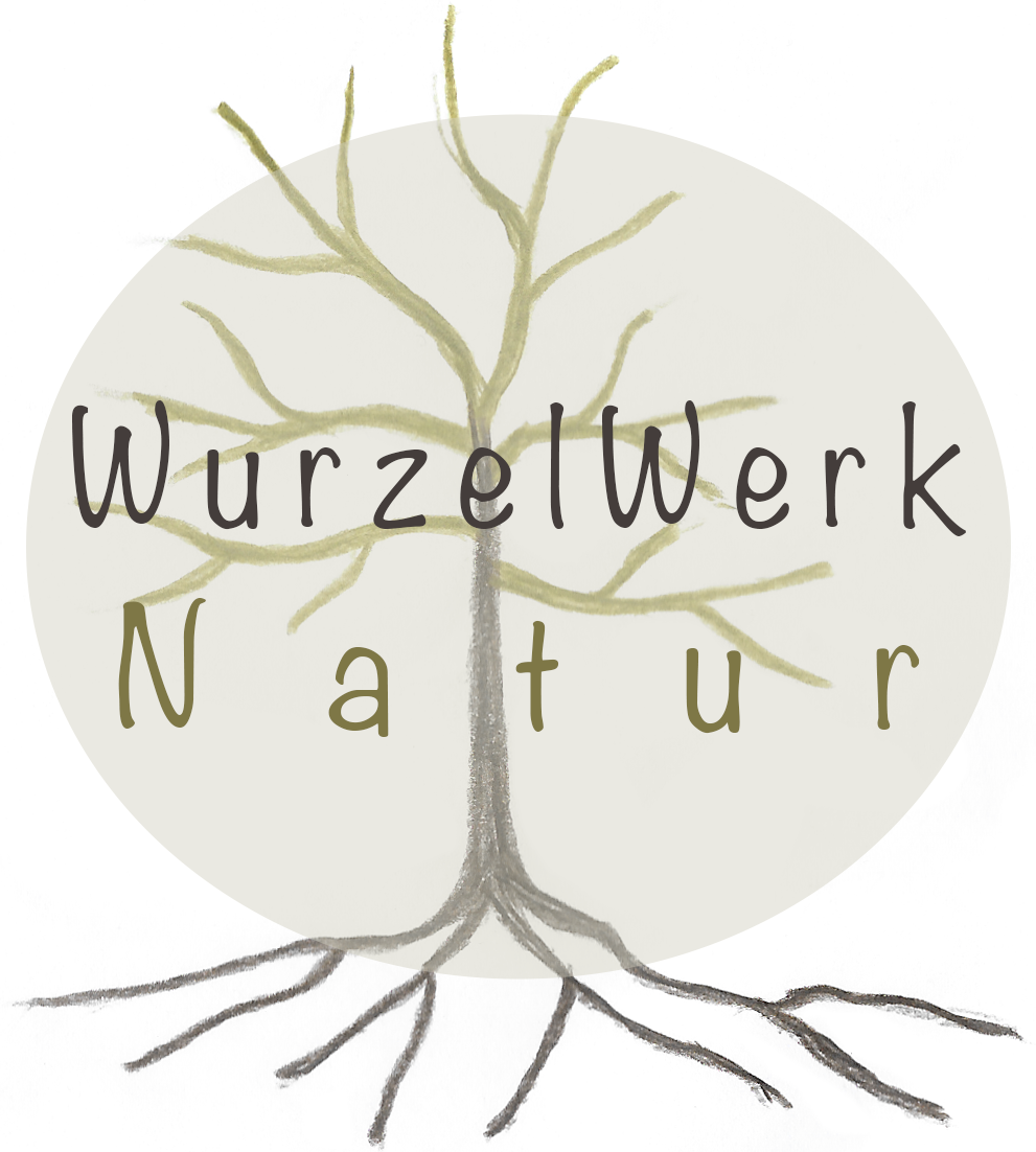 Wurzelwerk Natur